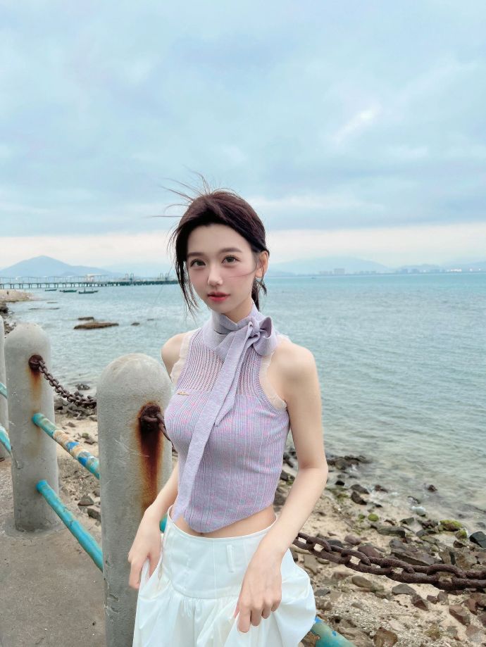 甄嬛传 封面